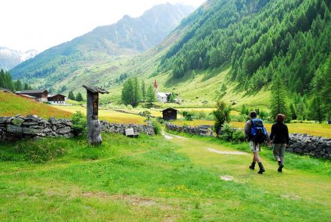 Tauferer Ahrntal / Steinhaus / Sommer